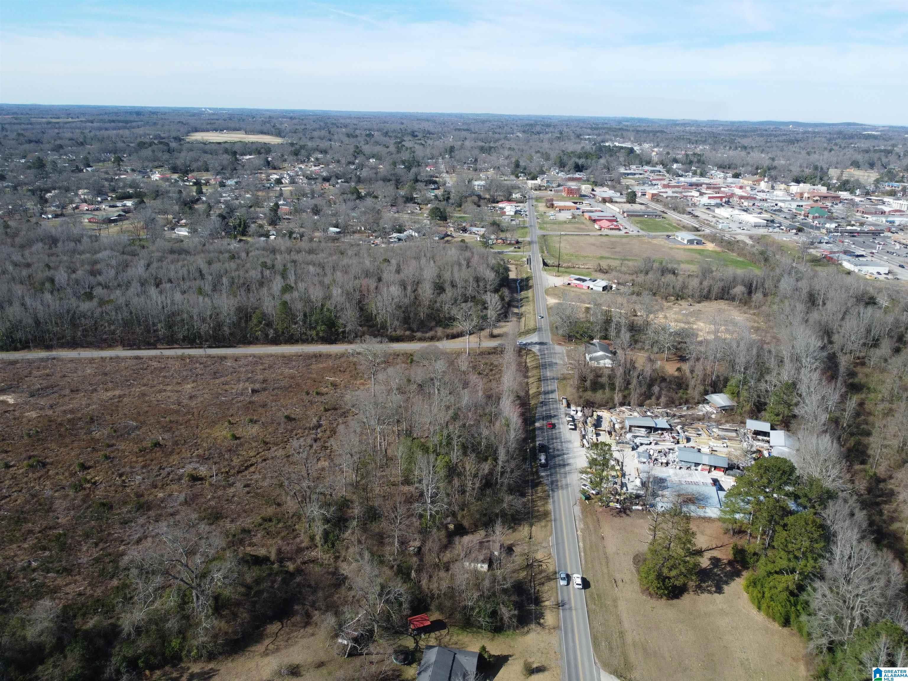 0 Kincheon Road Clanton, AL 35045 - Photo 21 of 45