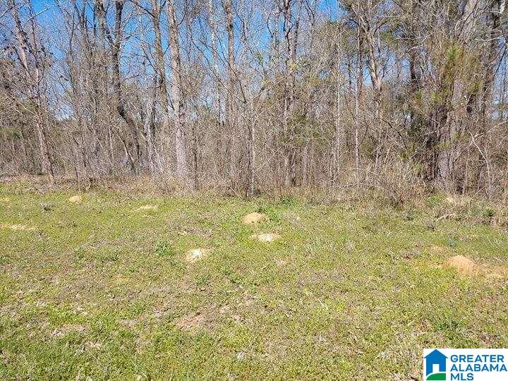 145 Naval Reserve Road, Unit 1 Bessemer, AL 35023 - Photo 4 of 7