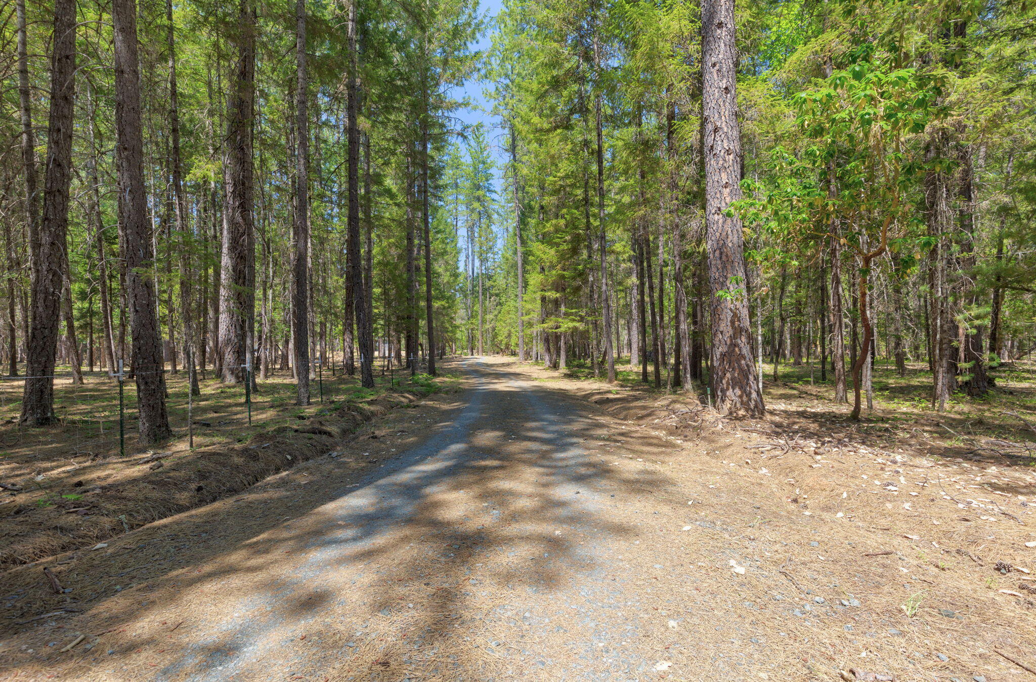 2-web-or-mls-2972-pleasant-creek-rd