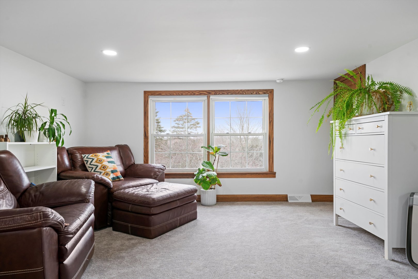 21204 South Pfeiffer Road Frankfort, IL 60423 - Photo 19 of 45 a living room with furniture and a potted plant