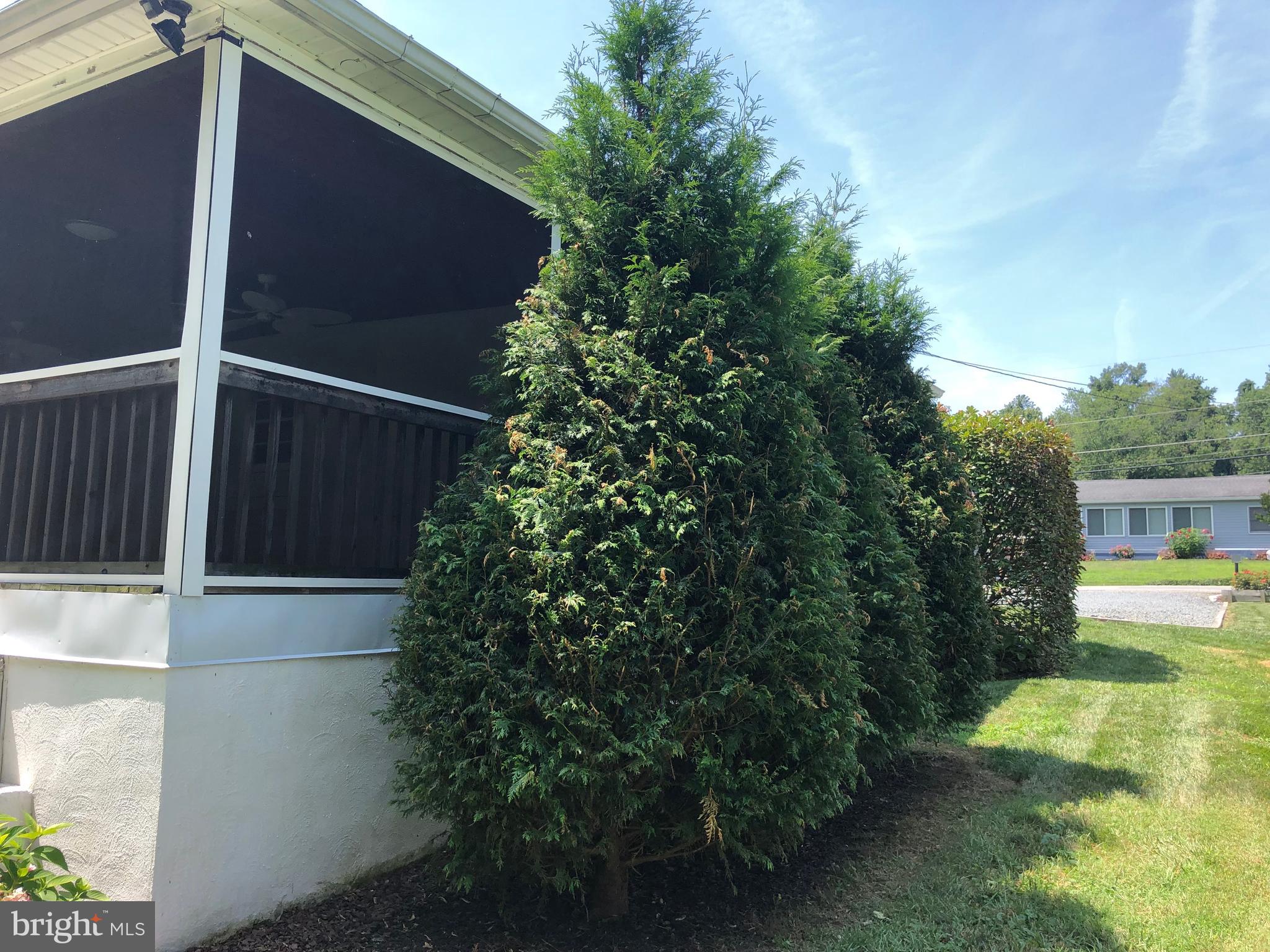 impeccable landscaping