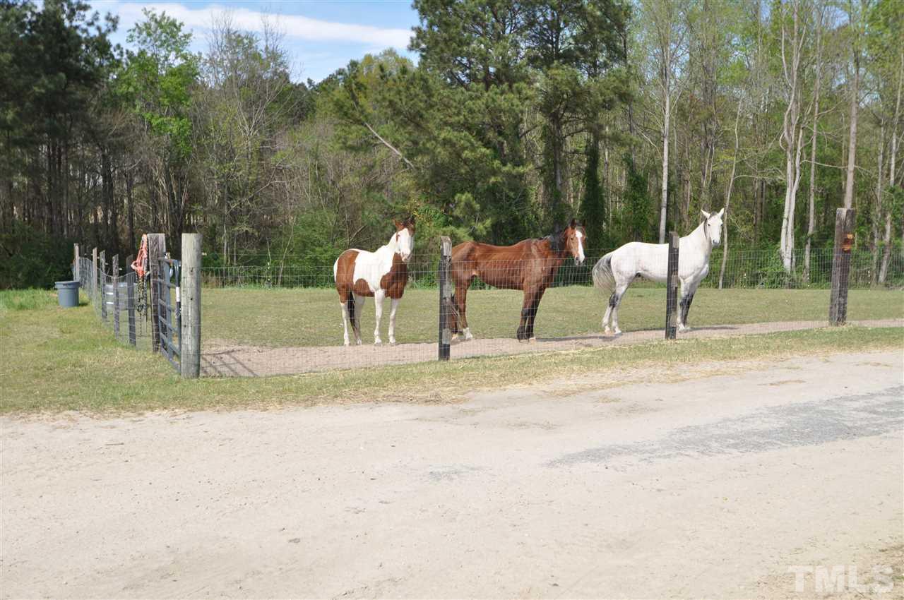 4969 Buffalo Road Selma, NC 27576 - Photo 27 of 30 Gallery Image 27