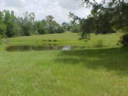 80432 Ogden Road Covington, LA 70435 - Photo 8 of 8