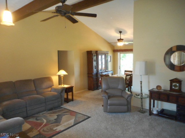 8560 Royal Ridge Drive Parma, OH 44129 - Photo 9 of 21 The Living Room features a vaulted & beamed ceiling.