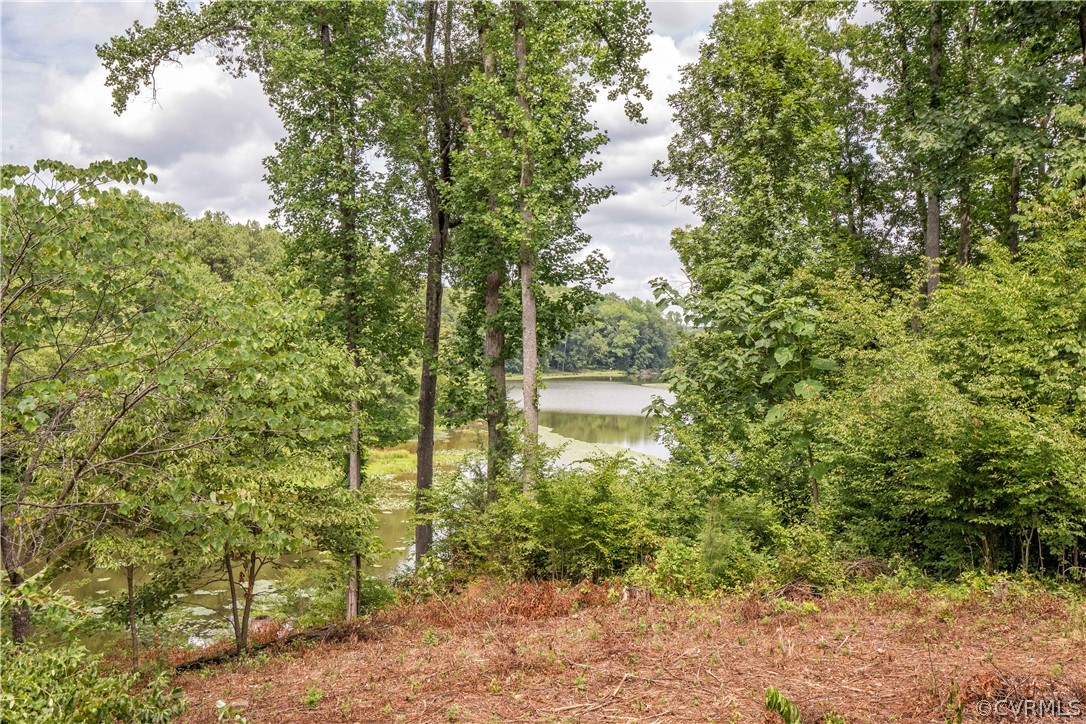 2575 Liberty Hill Road Powhatan, VA 23139 - Photo 30 of 37 Gallery Image 30