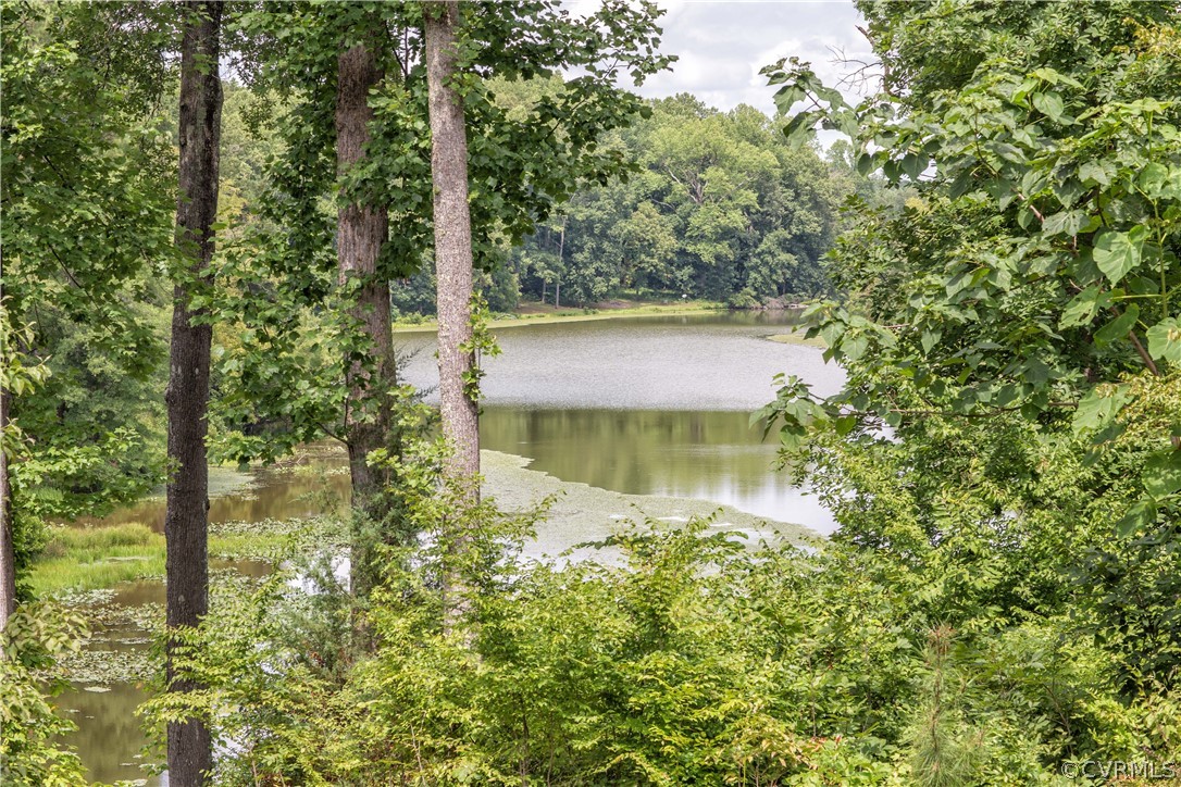 2575 Liberty Hill Road Powhatan, VA 23139 - Photo 31 of 37 Gallery Image 31