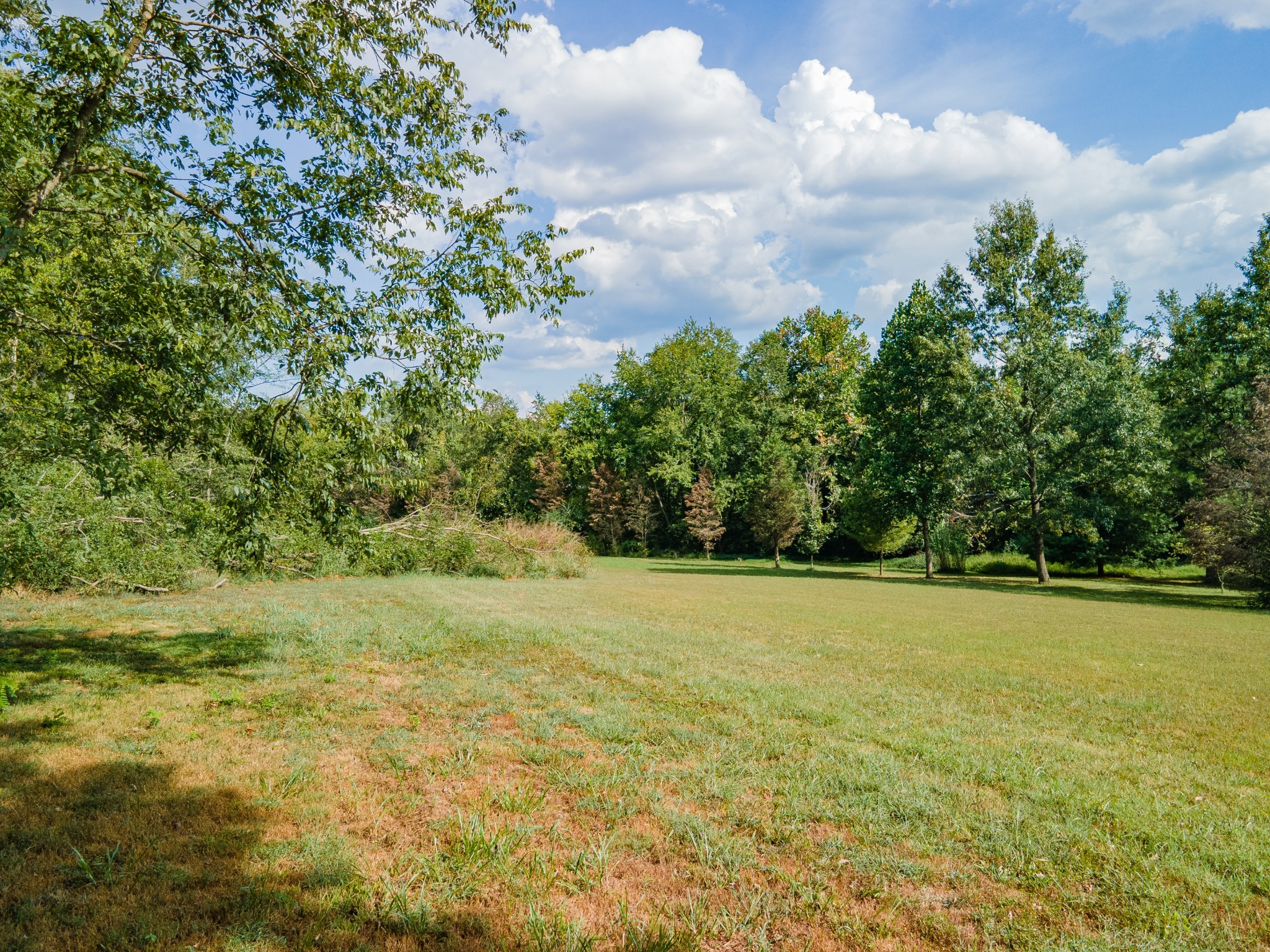 6616 Old Zion Road Columbia, TN 38401 - Photo 19 of 29 a view of big yard with an trees