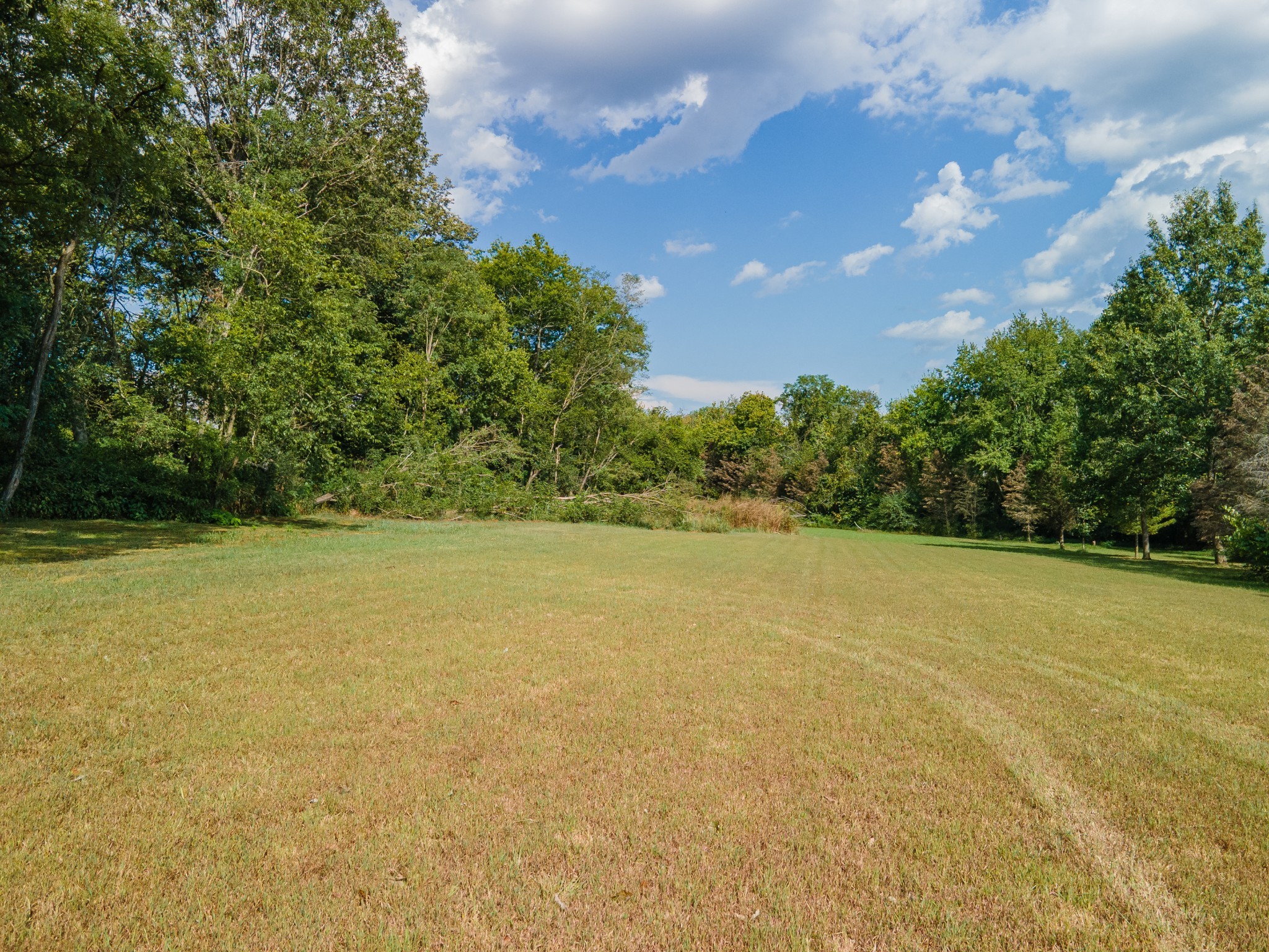 6616 Old Zion Road Columbia, TN 38401 - Photo 22 of 29 a view of a yard with an outdoor space