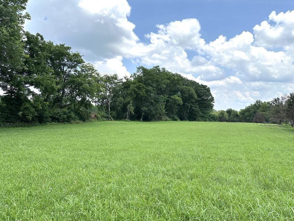 6616 Old Zion Road Columbia, TN 38401 - Photo 27 of 29 a backyard of a house with lots of green space