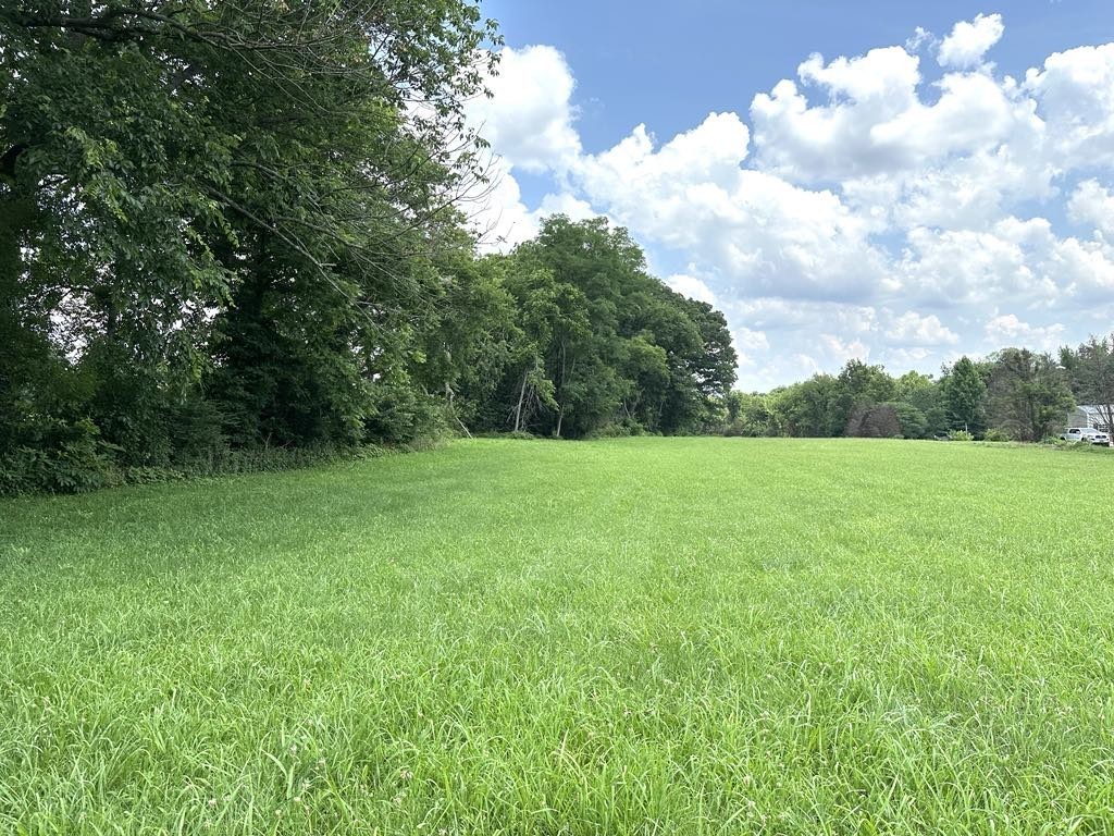 6616 Old Zion Road Columbia, TN 38401 - Photo 29 of 29 a view of a garden with a tree
