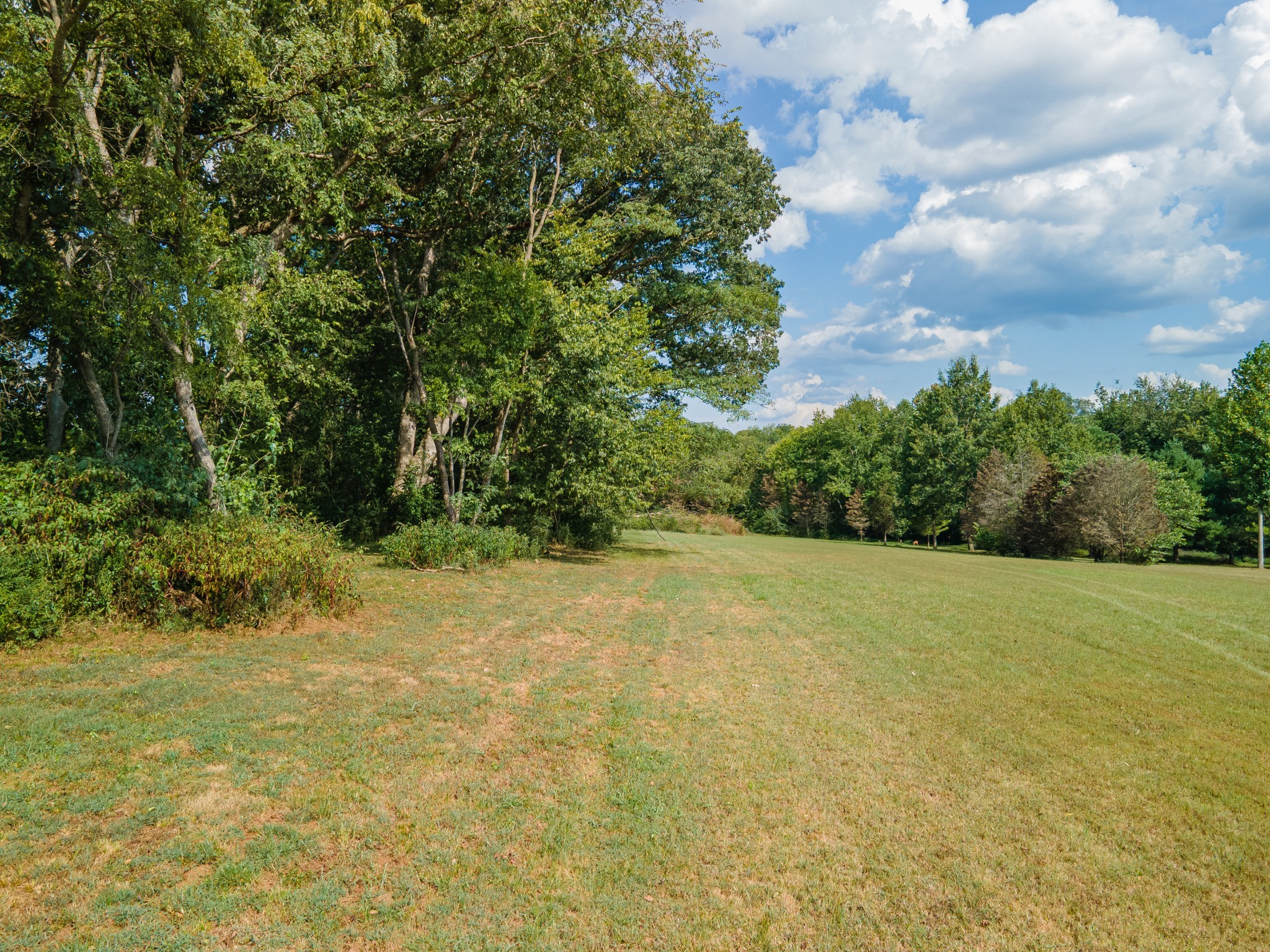 6616 Old Zion Road Columbia, TN 38401 - Photo 41 of 52 a view of a yard with a tree