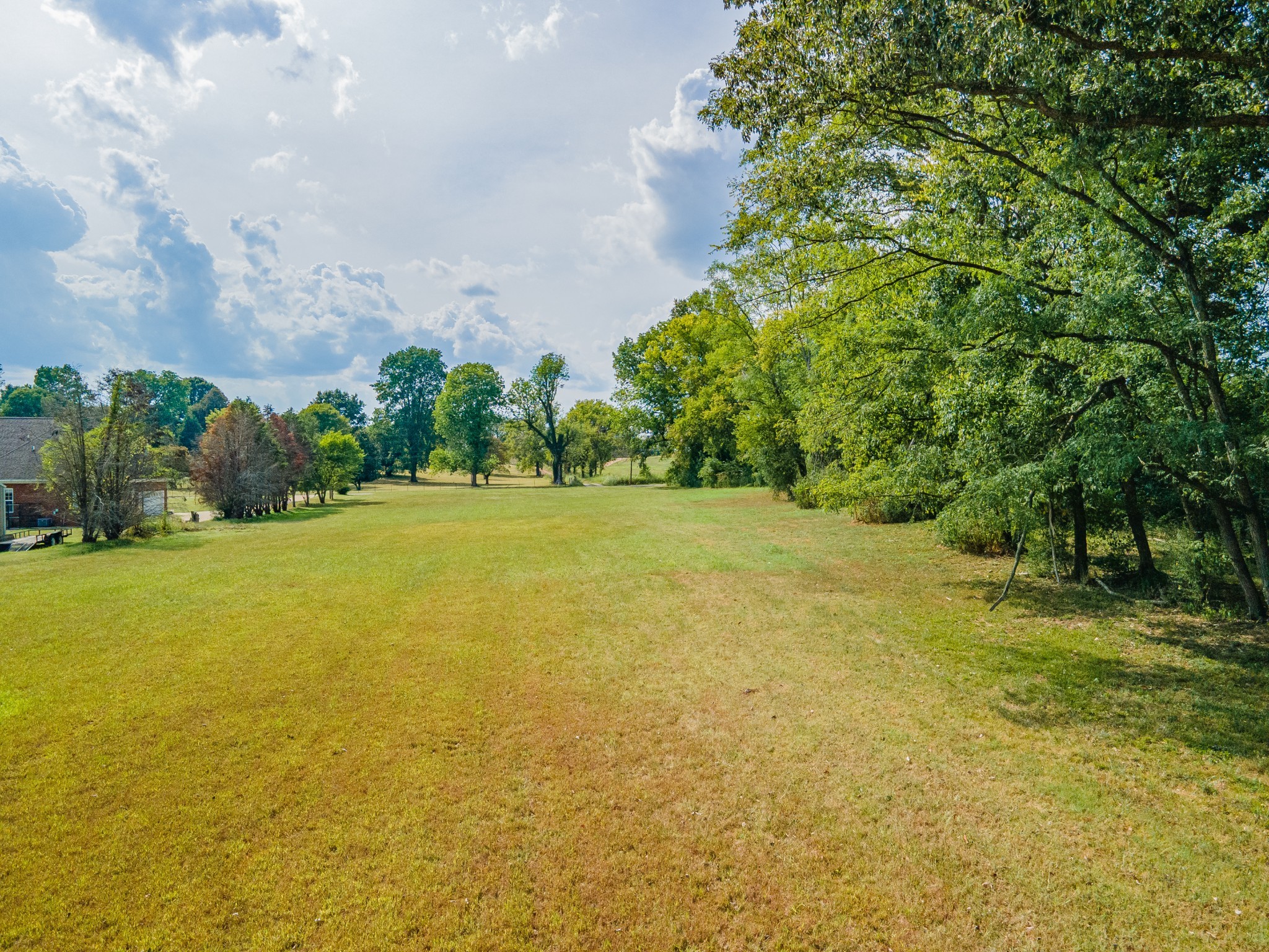 6616 Old Zion Road Columbia, TN 38401 - Photo 43 of 52 a view of a field with an trees