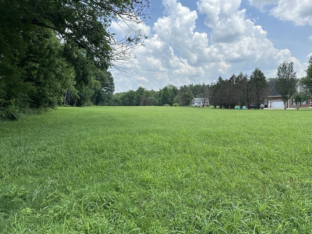 6616 Old Zion Road Columbia, TN 38401 - Photo 49 of 52 a view of field with trees in the background