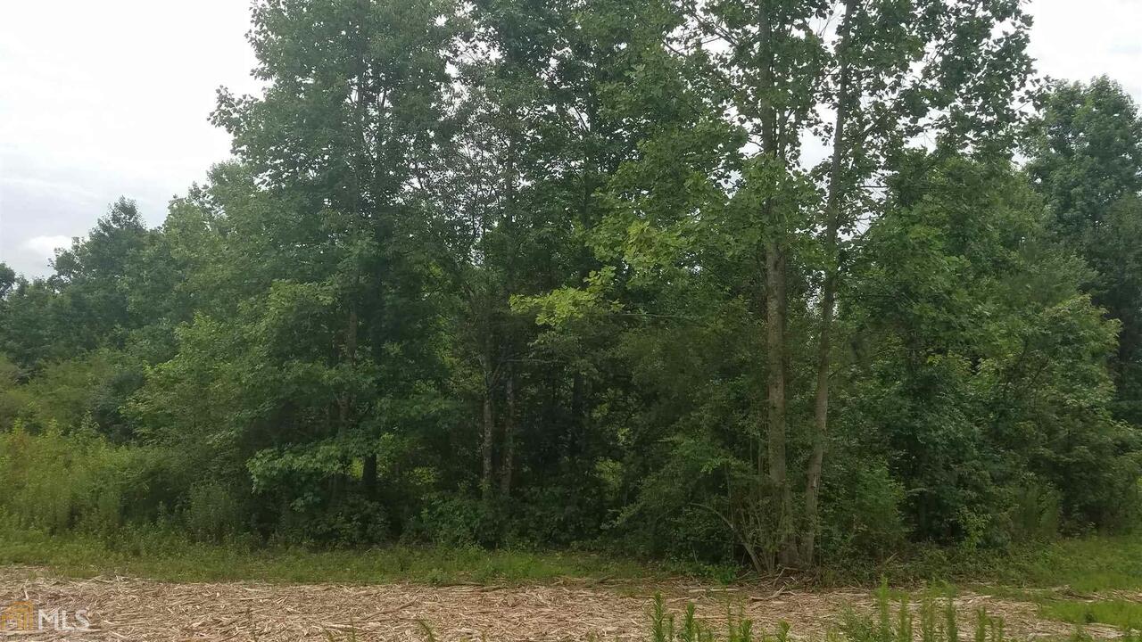 Lot 1 Pea Ridge Road, Unit 1 Gainesville, GA 30506 - Photo 1 of 1