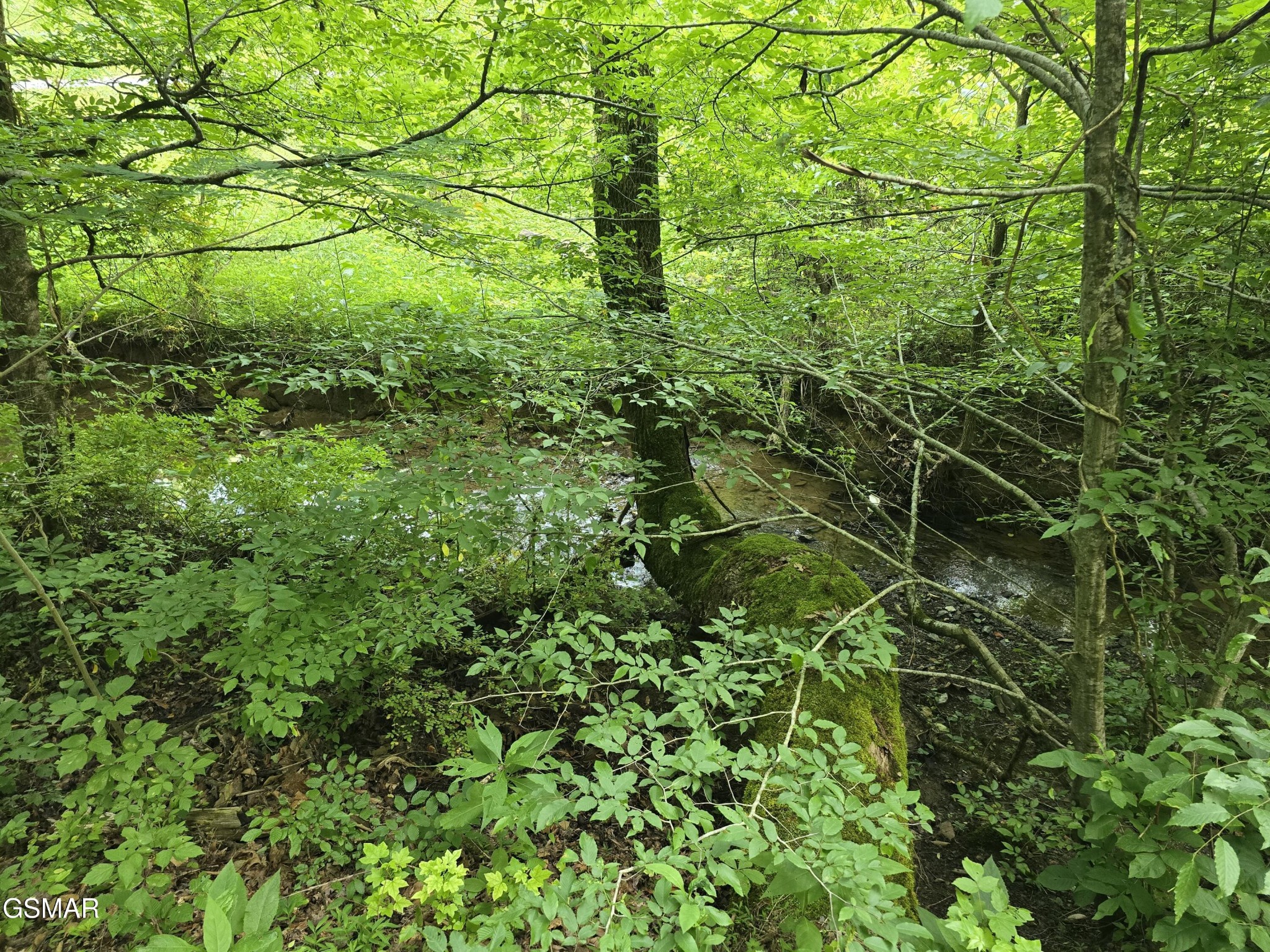 8 McCarter Hollow Road Sevierville, TN 37862 - Photo 7 of 26