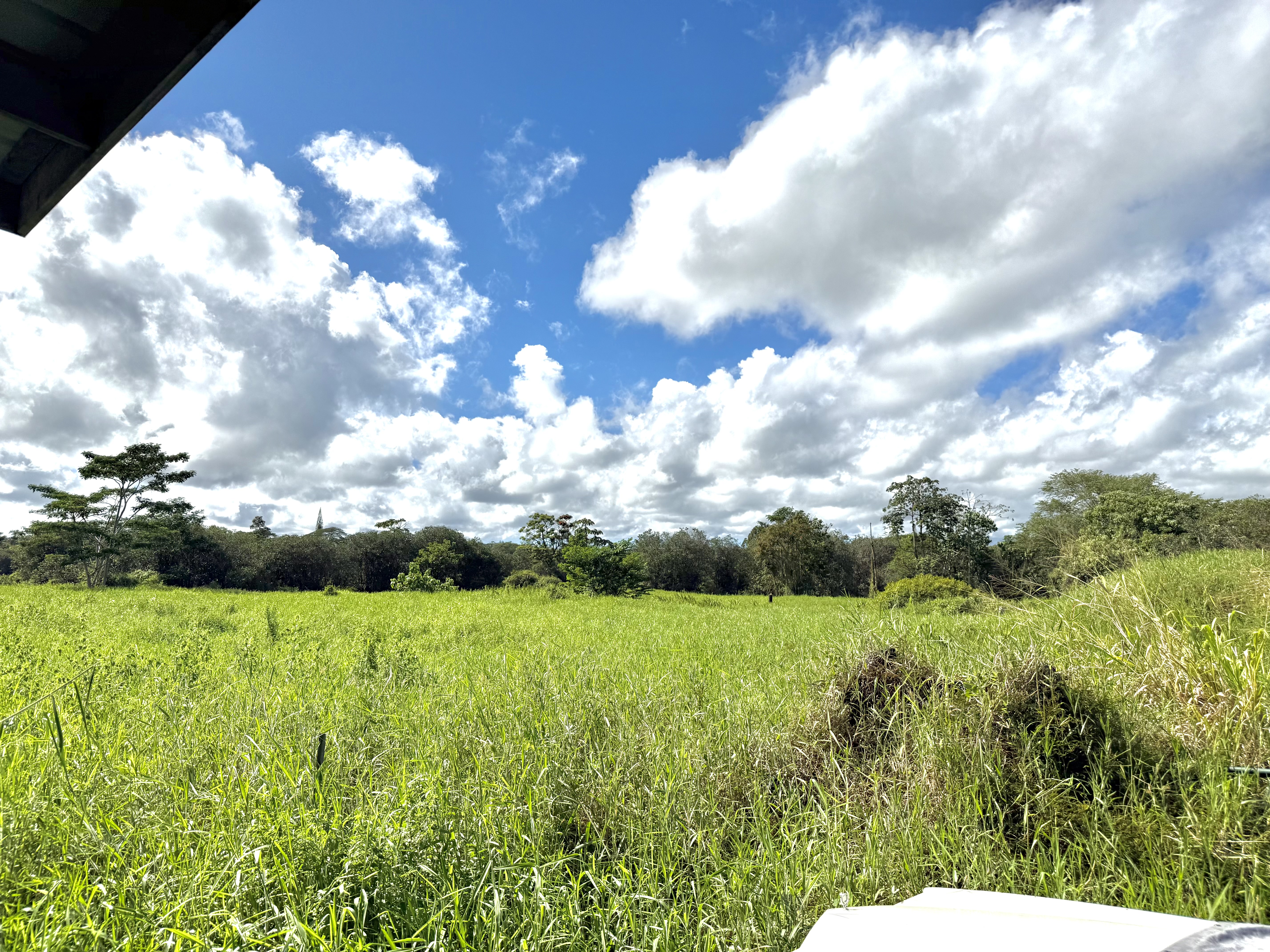 880 Ainalako Road Hilo, HI 96720 - Photo 26 of 26