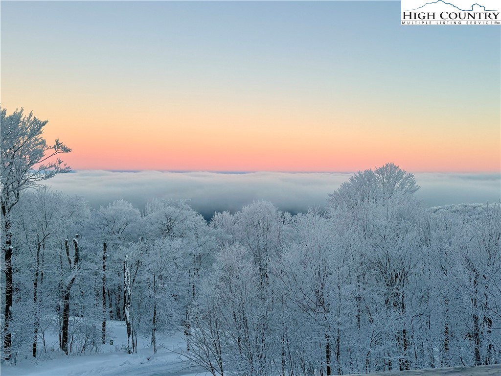 127 Raven Road Beech Mountain, NC 28604 - Photo 3 of 38