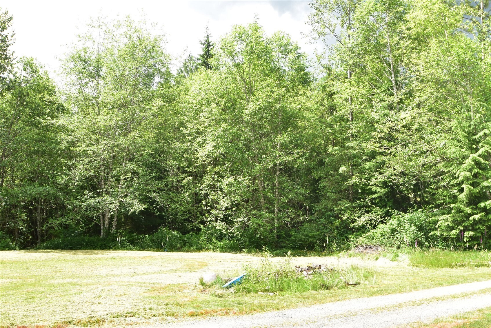 21102 Lake Riley Road Arlington, WA 98223 - Photo 11 of 12 Gallery Image 11