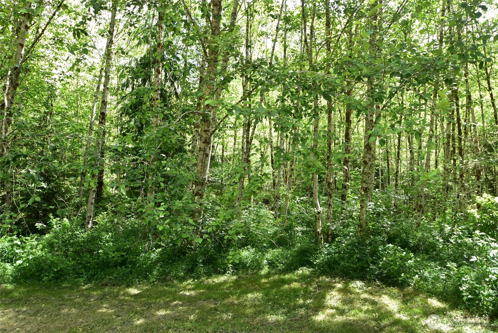 21102 Lake Riley Road Arlington, WA 98223 - Photo 10 of 12 Gallery Image 10