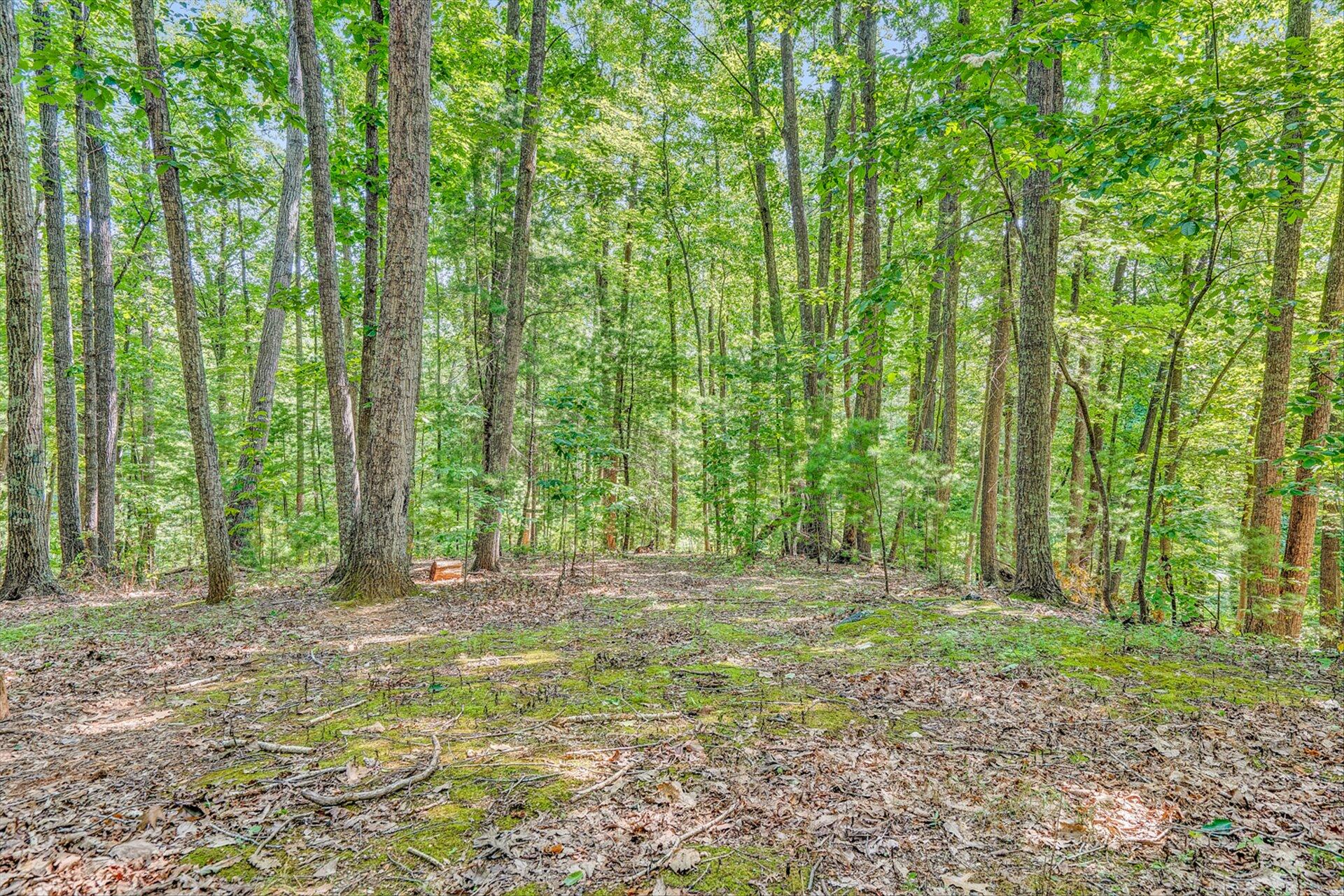 854 Harmony Road Boones Mill, VA 24065 - Photo 11 of 16 a view of outdoor space with deck and yard
