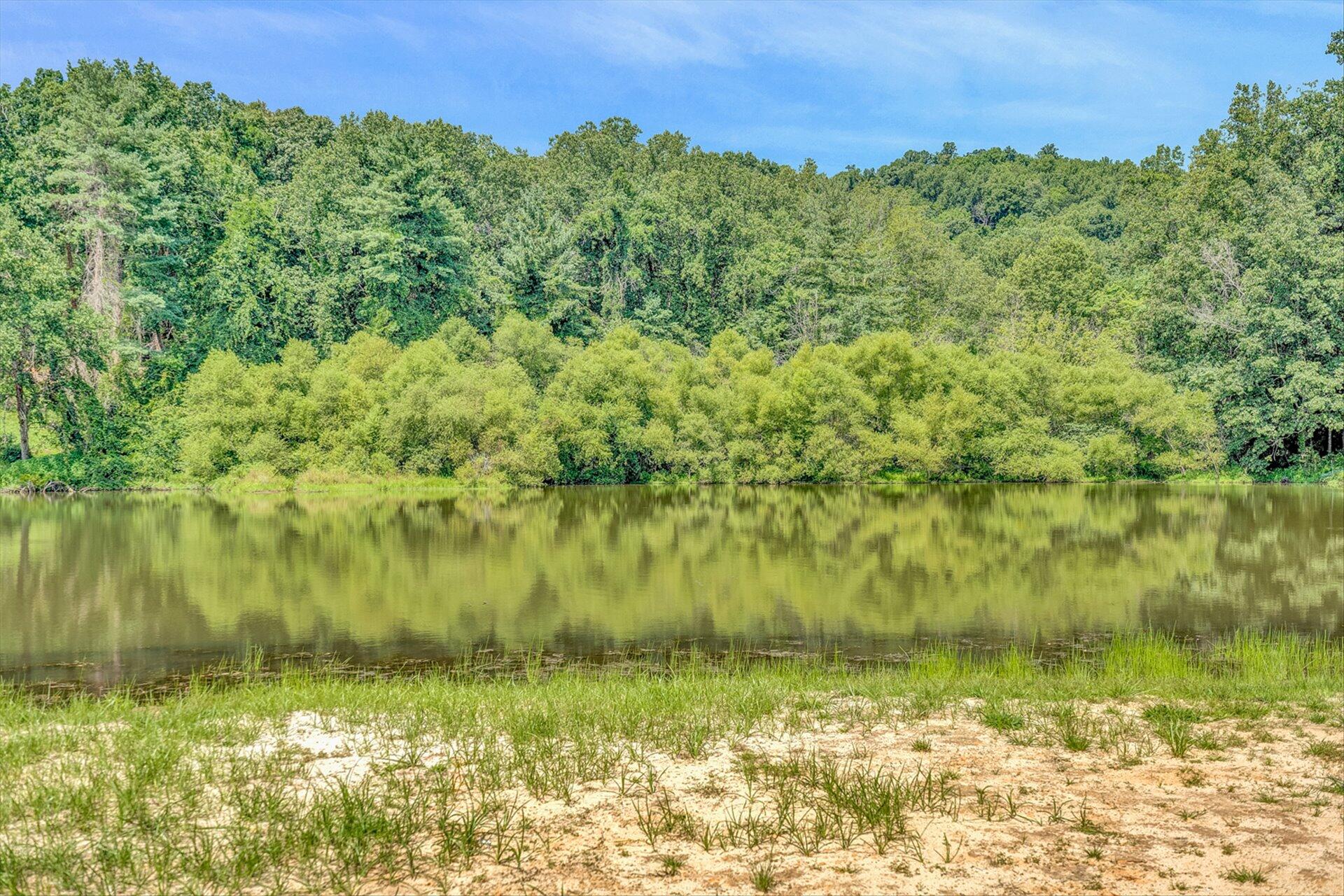 854 Harmony Road Boones Mill, VA 24065 - Photo 14 of 16 a view of a lake from a yard