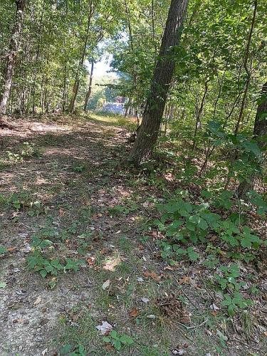 484 Tank Farm Road Aliquippa, PA 15001 - Photo 3 of 37