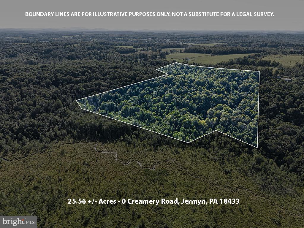 0 Creamery Road Jermyn, PA 18433 - Photo 17 of 17 Expansive wooded land for sale.