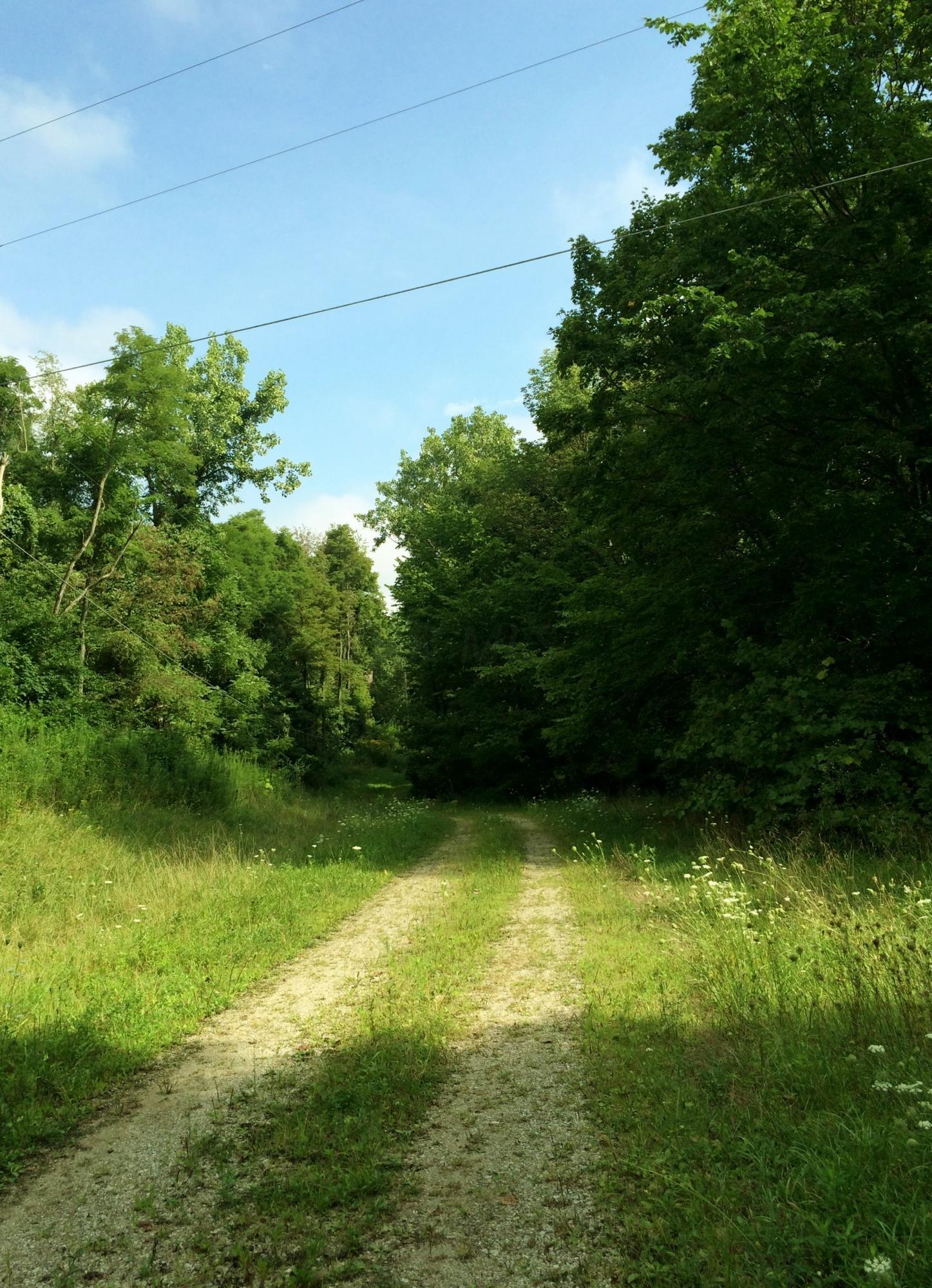 6450 Coonpath Road Northwest Carroll, OH 43112 - Photo 2 of 7 Gallery Image 2