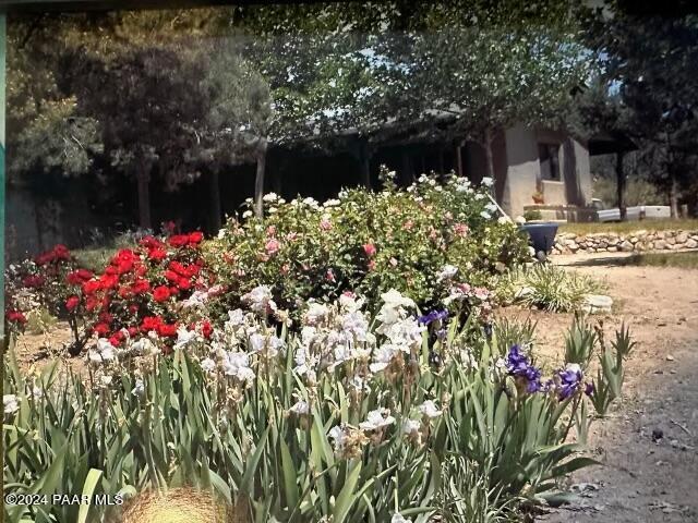 15255 South Middle Ridge Road Kirkland, AZ 86332 - Photo 43 of 63 Flowers