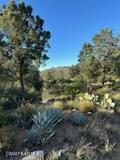 15255 South Middle Ridge Road Kirkland, AZ 86332 - Photo 45 of 63 IMG_0746