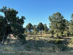 15255 South Middle Ridge Road Kirkland, AZ 86332 - Photo 47 of 63 IMG_0739
