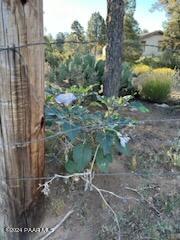 15255 South Middle Ridge Road Kirkland, AZ 86332 - Photo 48 of 63 IMG_0735