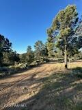 15255 South Middle Ridge Road Kirkland, AZ 86332 - Photo 54 of 63 IMG_0745