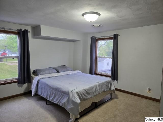237 North Marion Street Carthage, IL 62321 - Photo 19 of 30