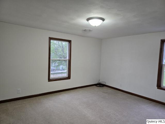 237 North Marion Street Carthage, IL 62321 - Photo 21 of 30