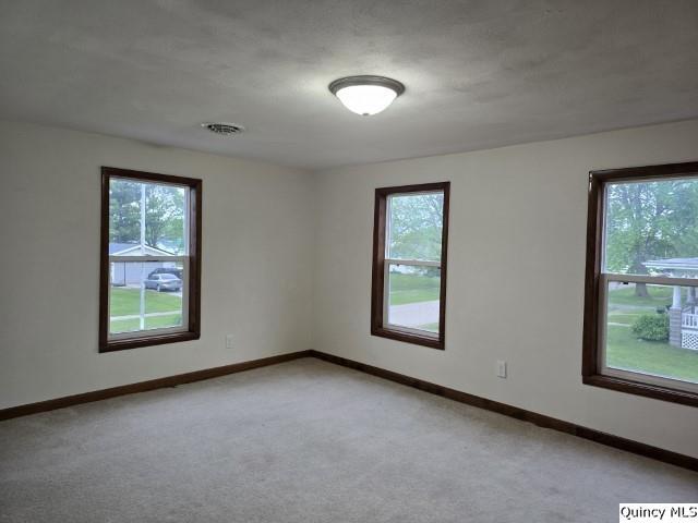237 North Marion Street Carthage, IL 62321 - Photo 23 of 30