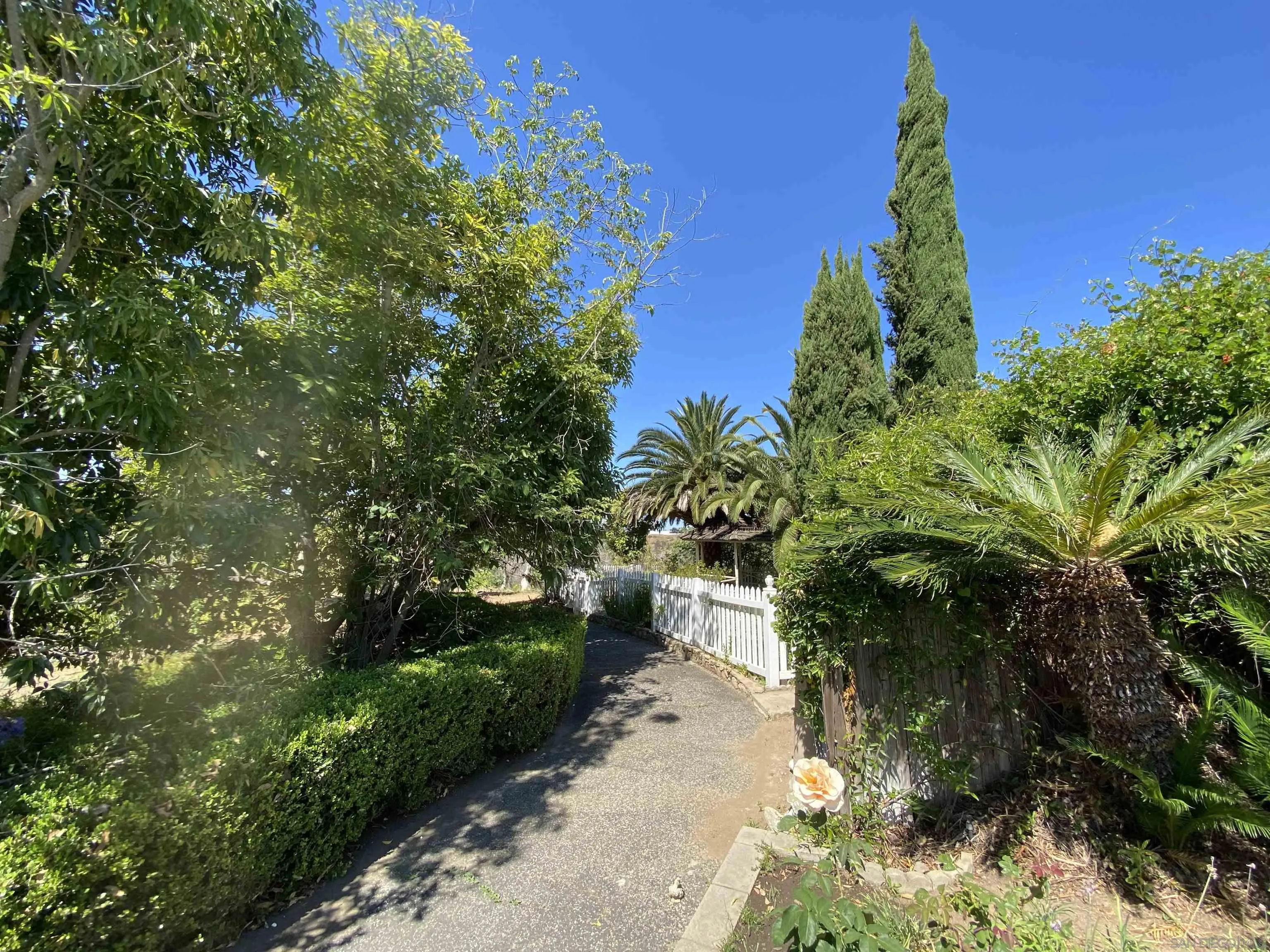 1780 Rabbit Hill Fallbrook, CA 92028 - Photo 12 of 60 a view of a yard with plants