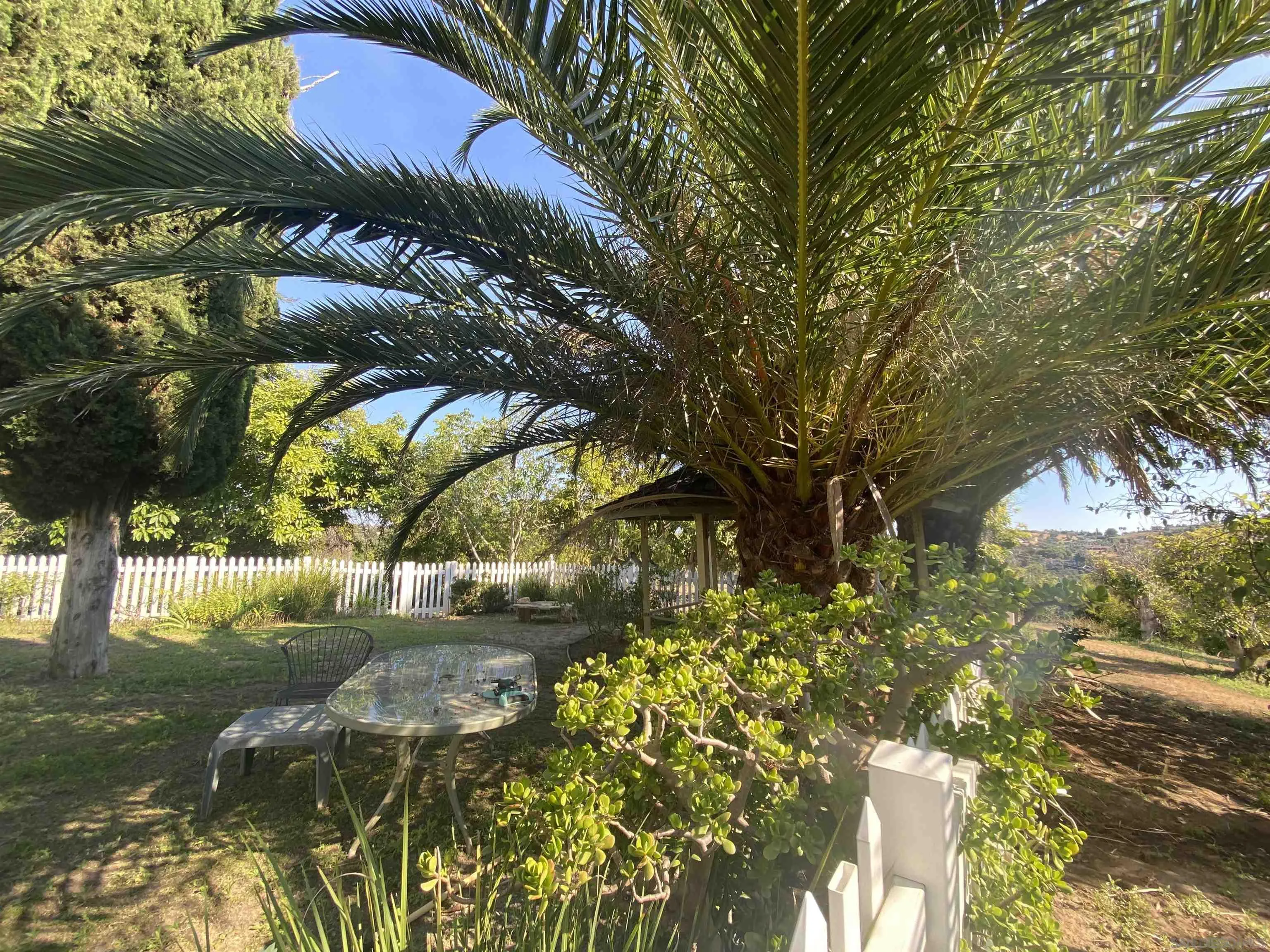 1780 Rabbit Hill Fallbrook, CA 92028 - Photo 50 of 60 a view of yard with tree in back
