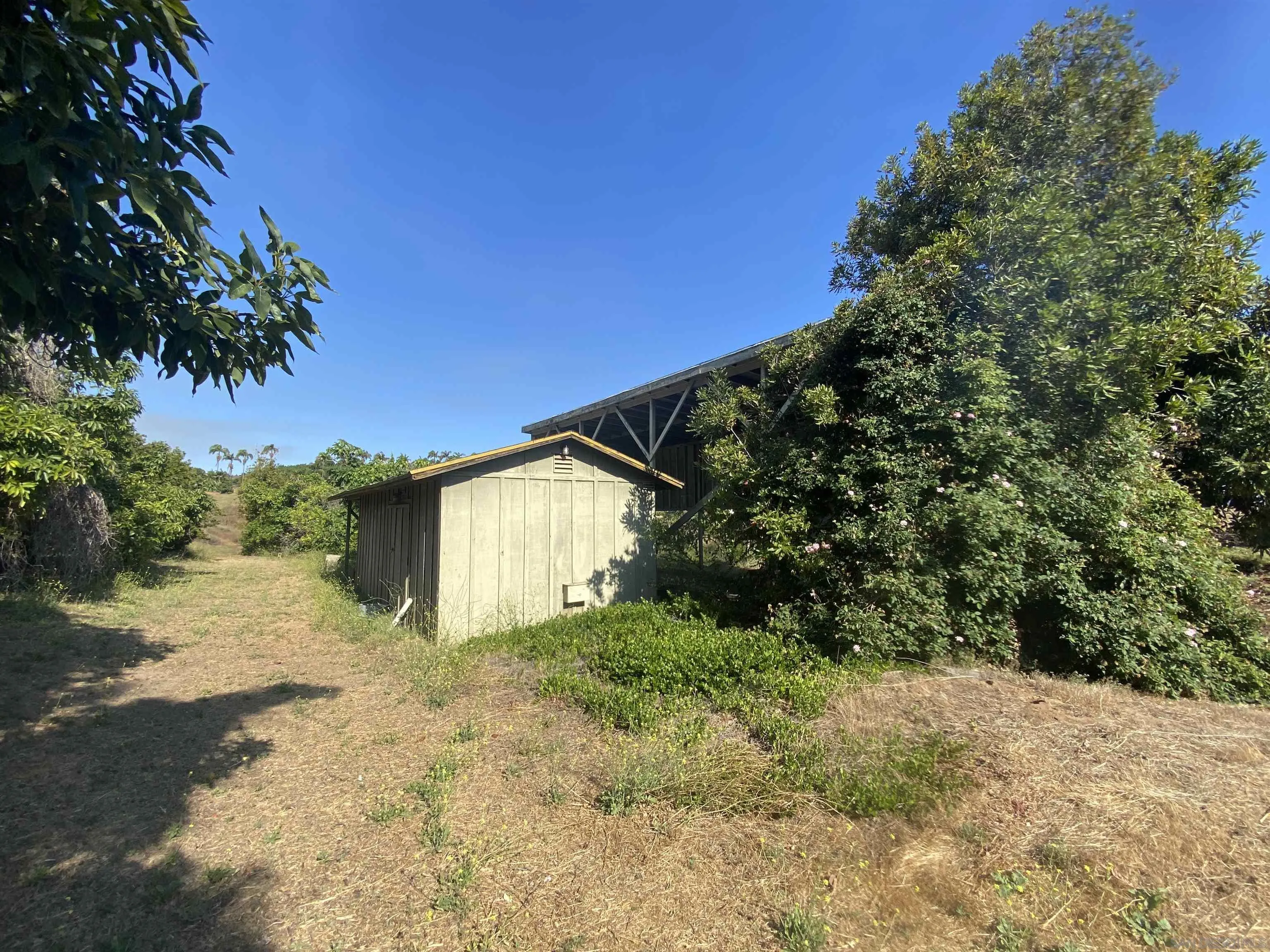 1780 Rabbit Hill Fallbrook, CA 92028 - Photo 51 of 60 a view of a yard with plants and a large tree