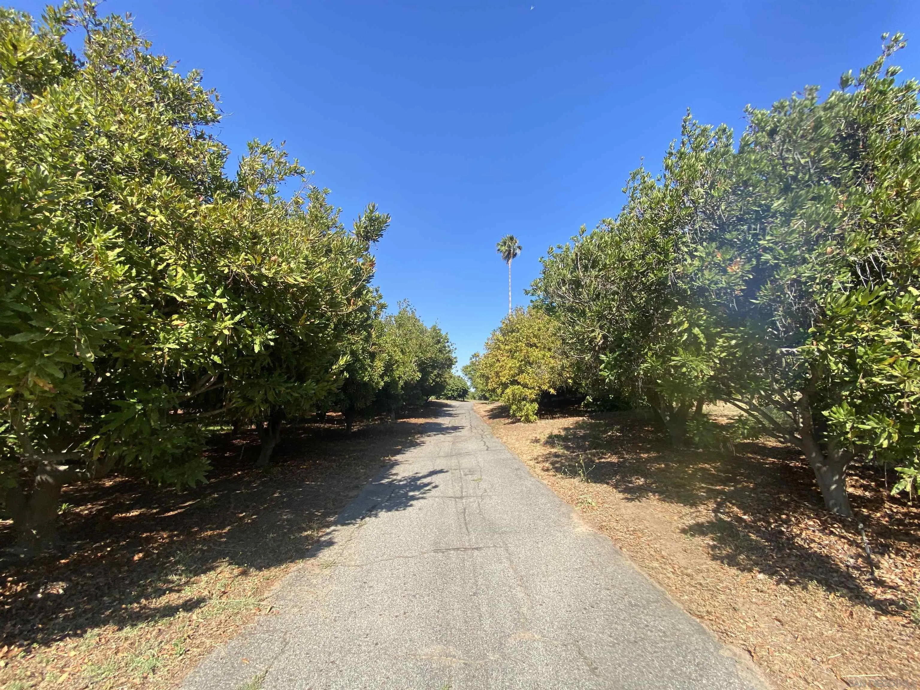 1780 Rabbit Hill Fallbrook, CA 92028 - Photo 55 of 60 a view of a road with trees in the background