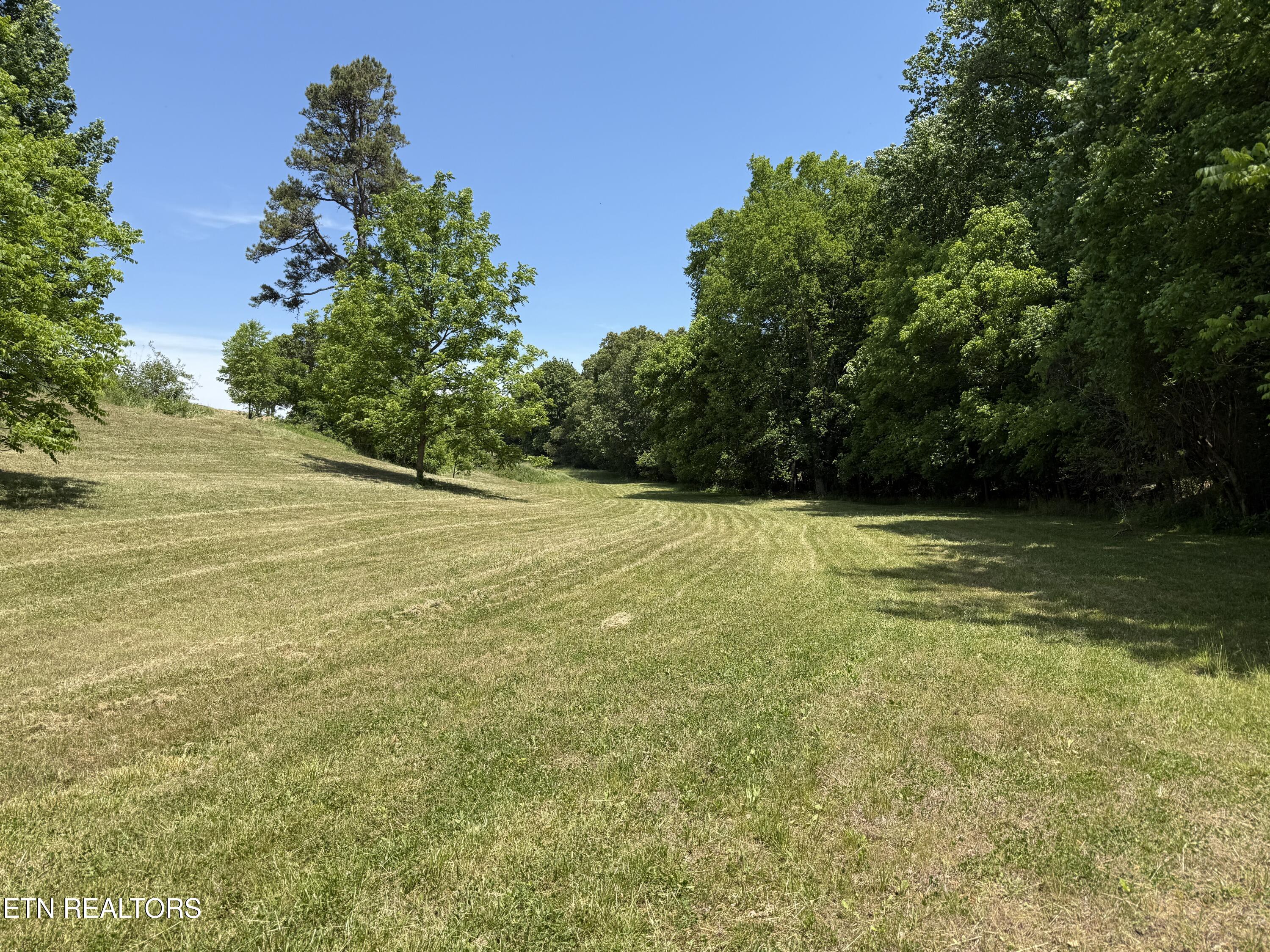 Richland Road Blaine, TN 37709 - Photo 1 of 25 IMG_5445