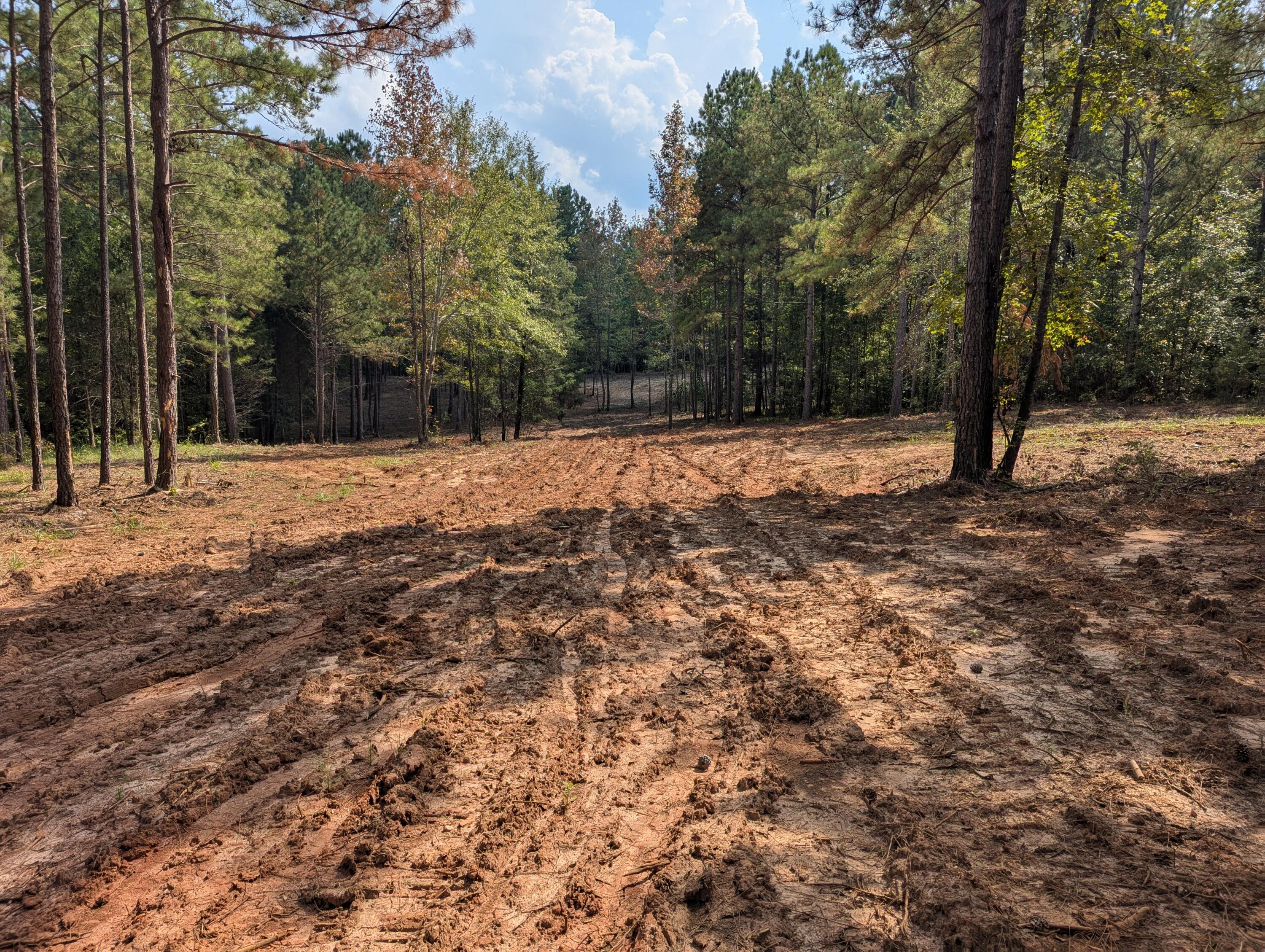 6982 Moontown Drive East Appling, GA 30802 - Photo 4 of 12 PXL_20250918_183742004