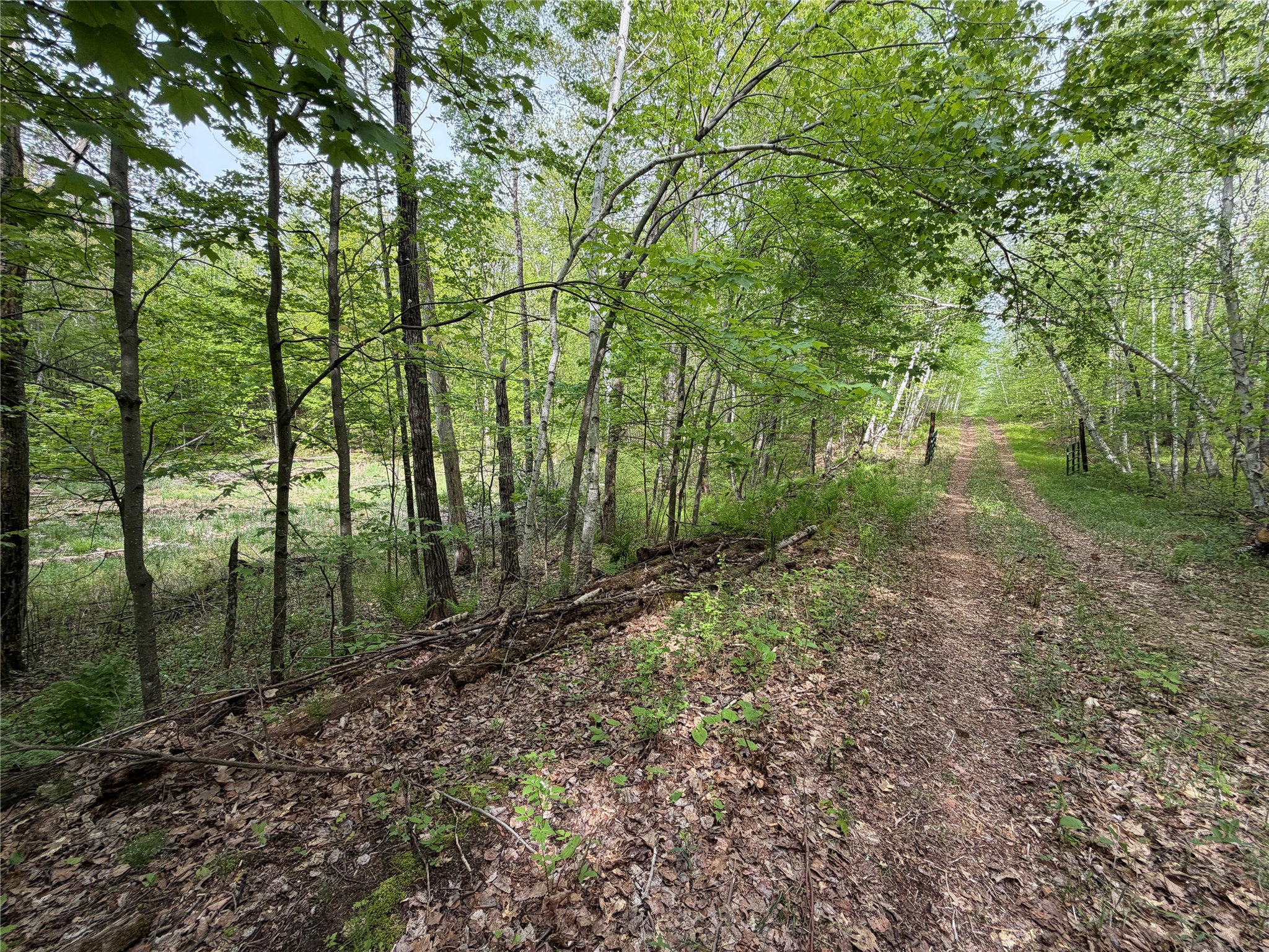 Lot 4 Peterson Road Foxboro, WI 54836 - Photo 11 of 11 Gallery Image 11