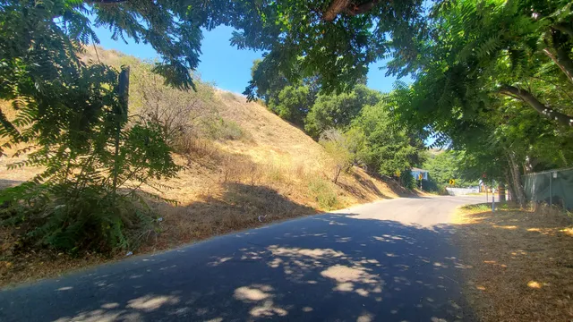 a view of a yard with large trees