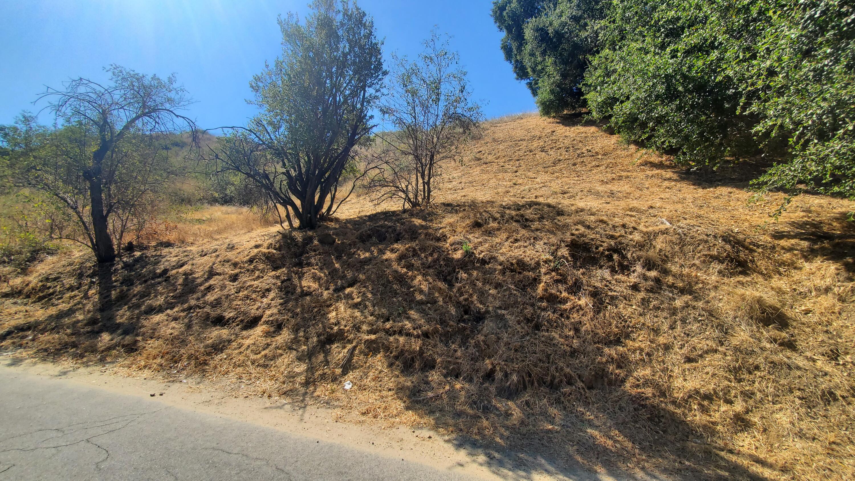 Hunstock Street Val Verde, CA 91384 - Photo 4 of 12 a view of outside space