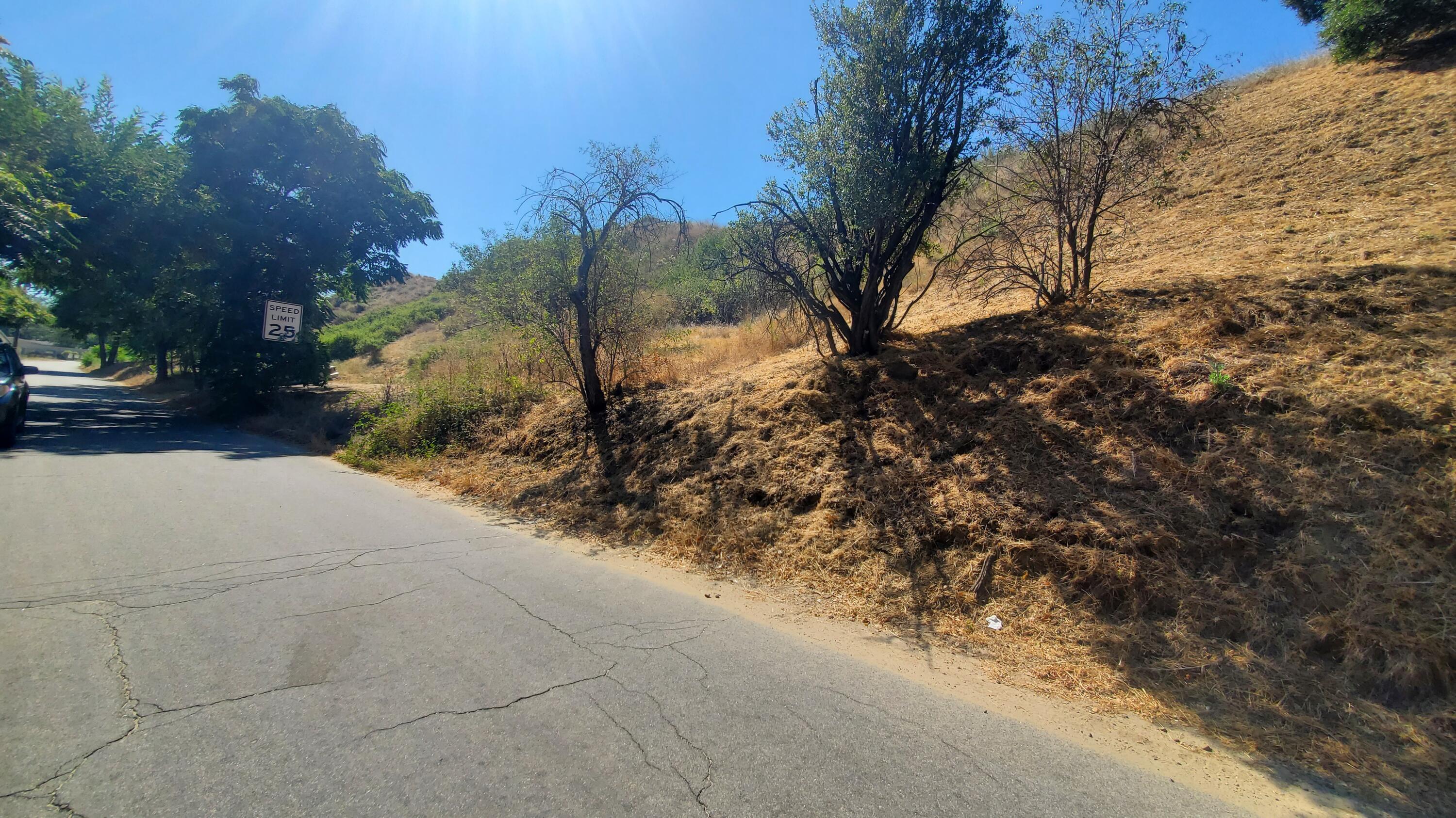 Hunstock Street Val Verde, CA 91384 - Photo 6 of 12 a view of a yard with a tree