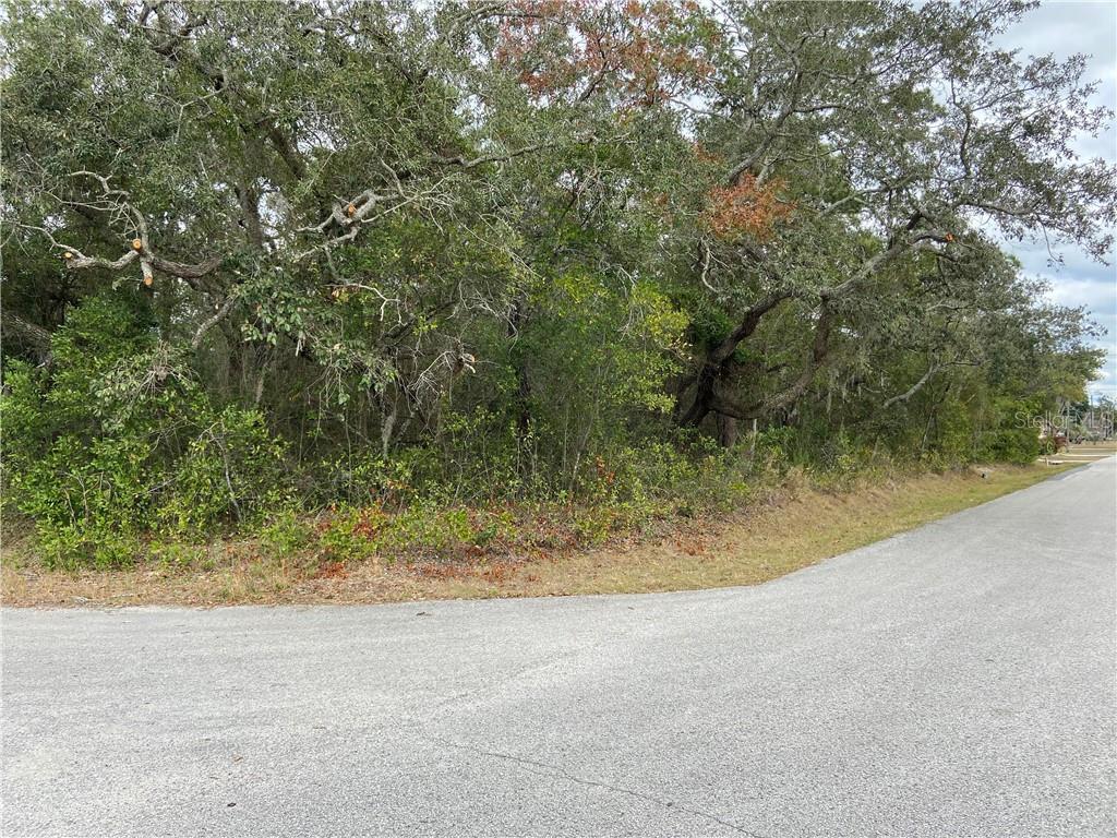 Apache Trail Spring Hill Spring Hill, FL 34606 - Photo 1 of 1 Gallery Image 1