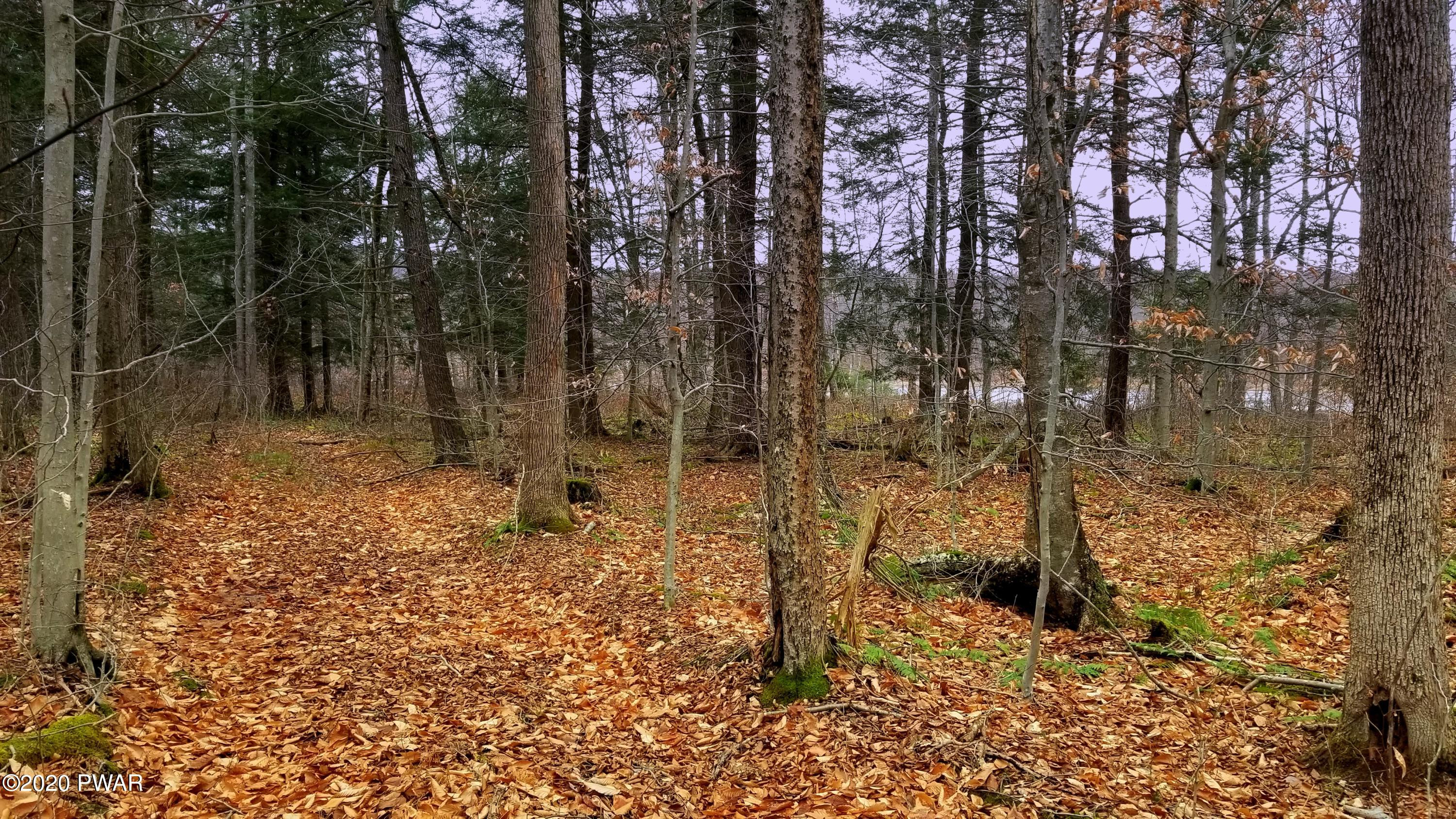 Lot 80 Stonegate Road Equinunk, PA 18417 - Photo 39 of 58
