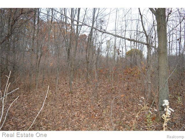 Par B Musson Road Howell, MI 48855 - Photo 10 of 28