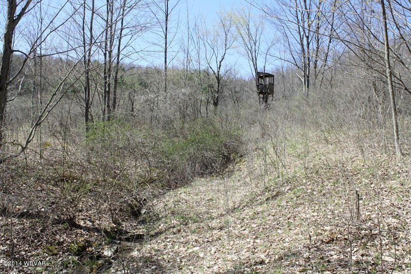 480 Trowbridge Station Road Millerton, PA 16936 - Photo 41 of 77 126390-41